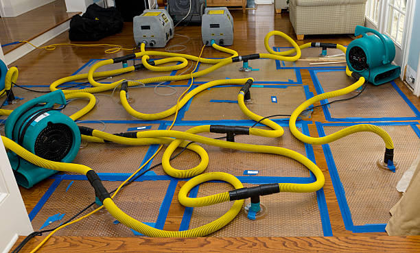 Professional Crawl Space Water Removal technician working in Parsons, WV